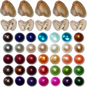 20PC Freshwater Pearl Love Wish Pearl Oyster with Round Pearl Inside Meaningful Color Cultured Oyster Pearls Beads for Jewelry Making Crafts Gifts(5.5-7.5mm, 20 PCS/Lot)
