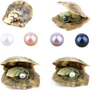 4PCS Saltwater Akoya Cultured Pearl Oyster with Round Pearl (6.5-7.5mm) Inside Jewelry Making or Birthday Gifts (4 Colors)