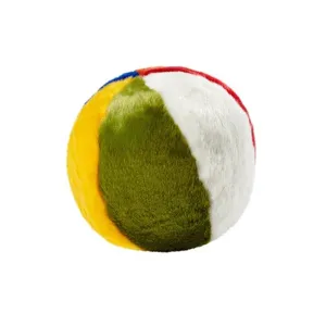 Beach Ball - LIMITED EDITION
