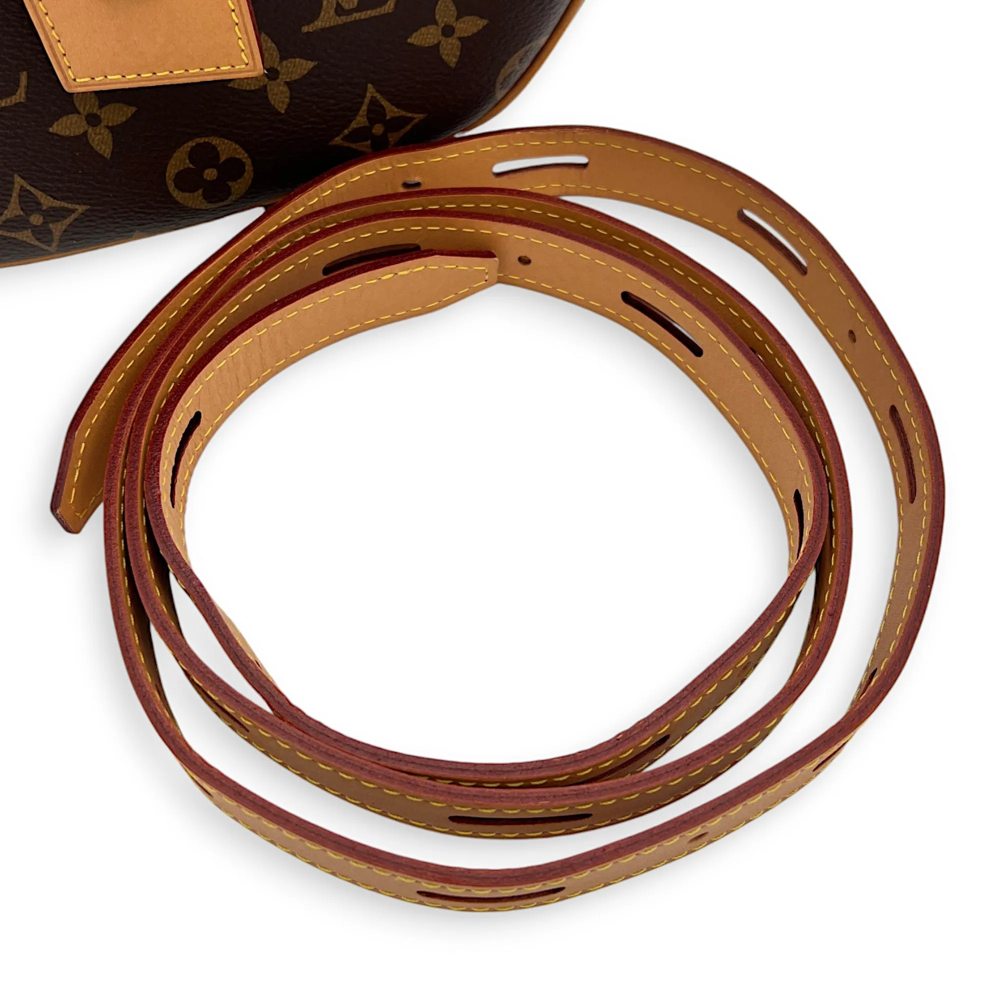 Boite a Chapeau Crossbody Bag MM Brown in Monogram Coated Canvas , Gold Hardware