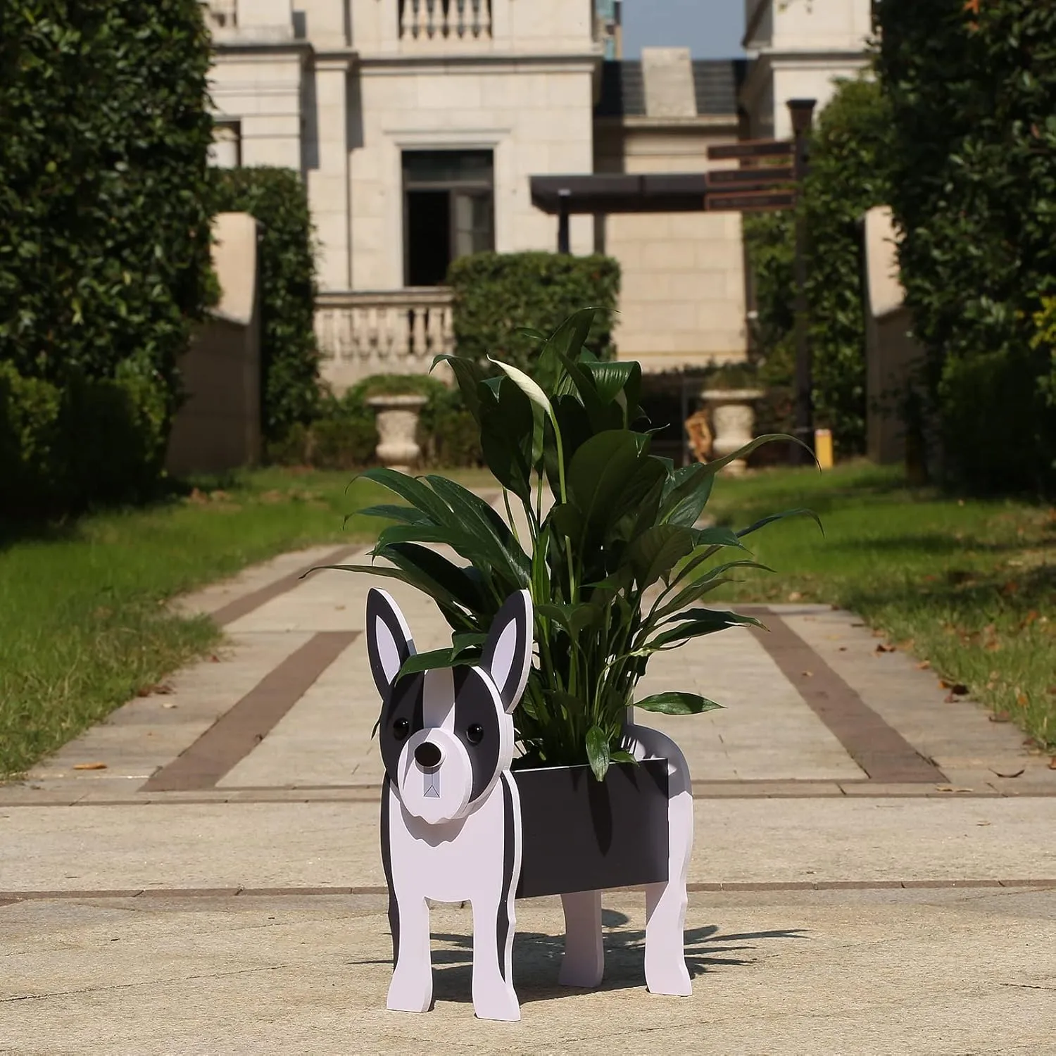 Boston Terrier Gifts for Women, Boston Terrier Dog Planter Plant Pot, Cute Dog Flower Pot for Garden Decoration, Boston Terrier Shape Plant Container Holder for Outdoor Small Boston Terrier