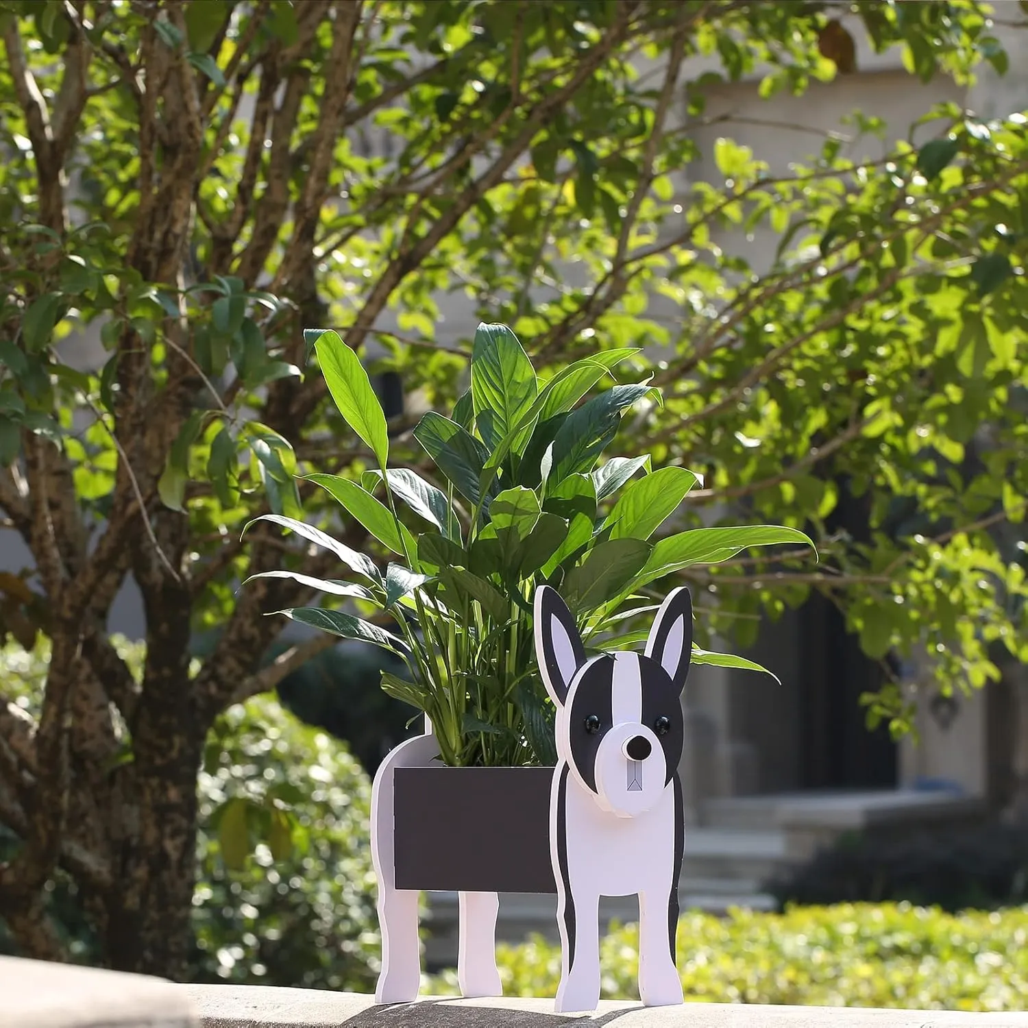 Boston Terrier Gifts for Women, Boston Terrier Dog Planter Plant Pot, Cute Dog Flower Pot for Garden Decoration, Boston Terrier Shape Plant Container Holder for Outdoor Small Boston Terrier