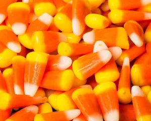 Candy Corn Bulk