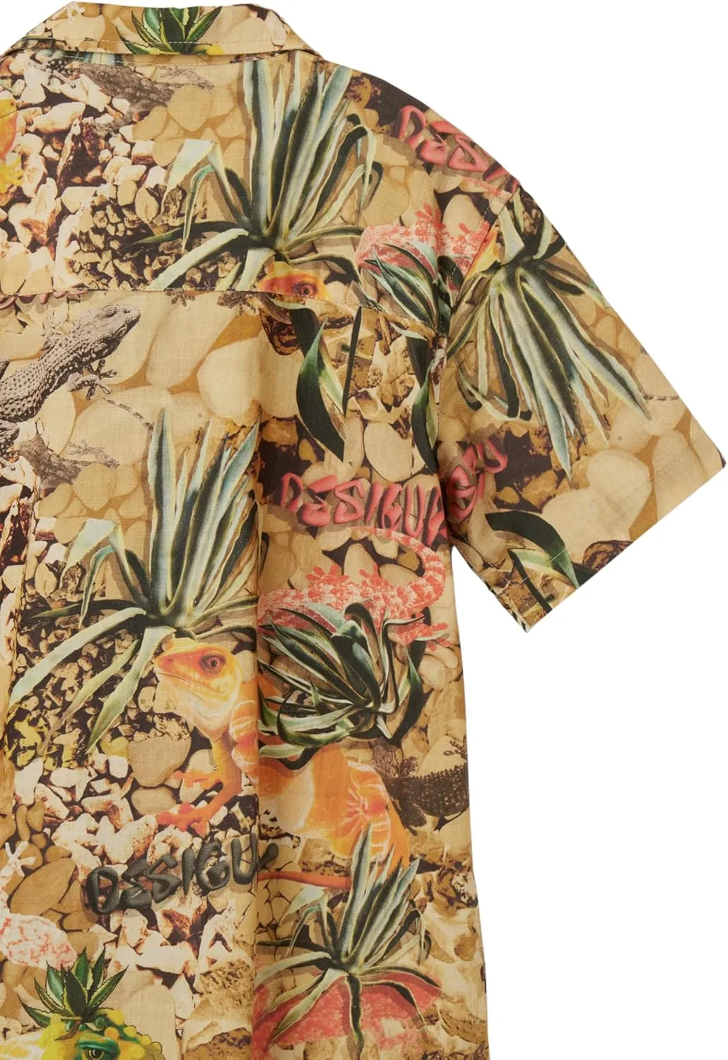 Desigual Boys' Little Casual