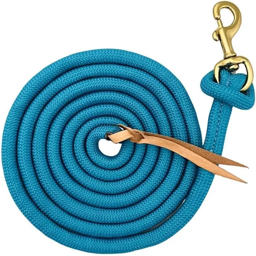 Formay 10 Foot Nylon Lead Rope Royal Blue