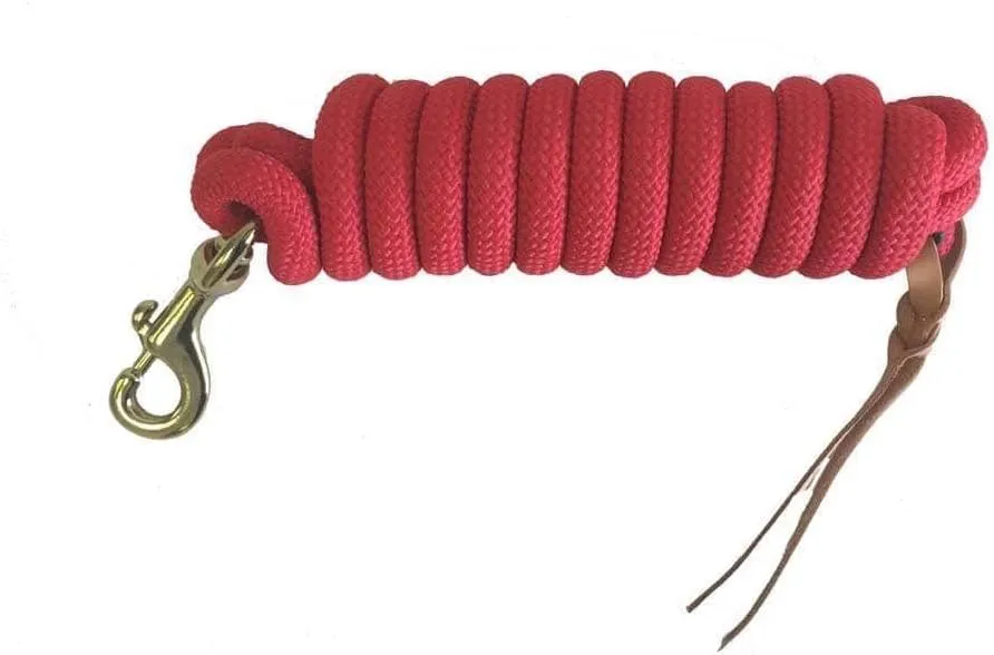 Formay 10 Foot Nylon Lead Rope Royal Blue