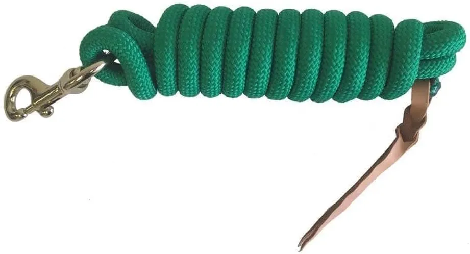 Formay 10 Foot Nylon Lead Rope Royal Blue