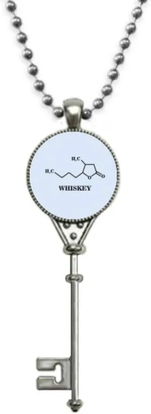 OFFbb-USA Chemical Structure Alcoholic Diet Water Pendant Vintage Necklace Silver Key Jewelry