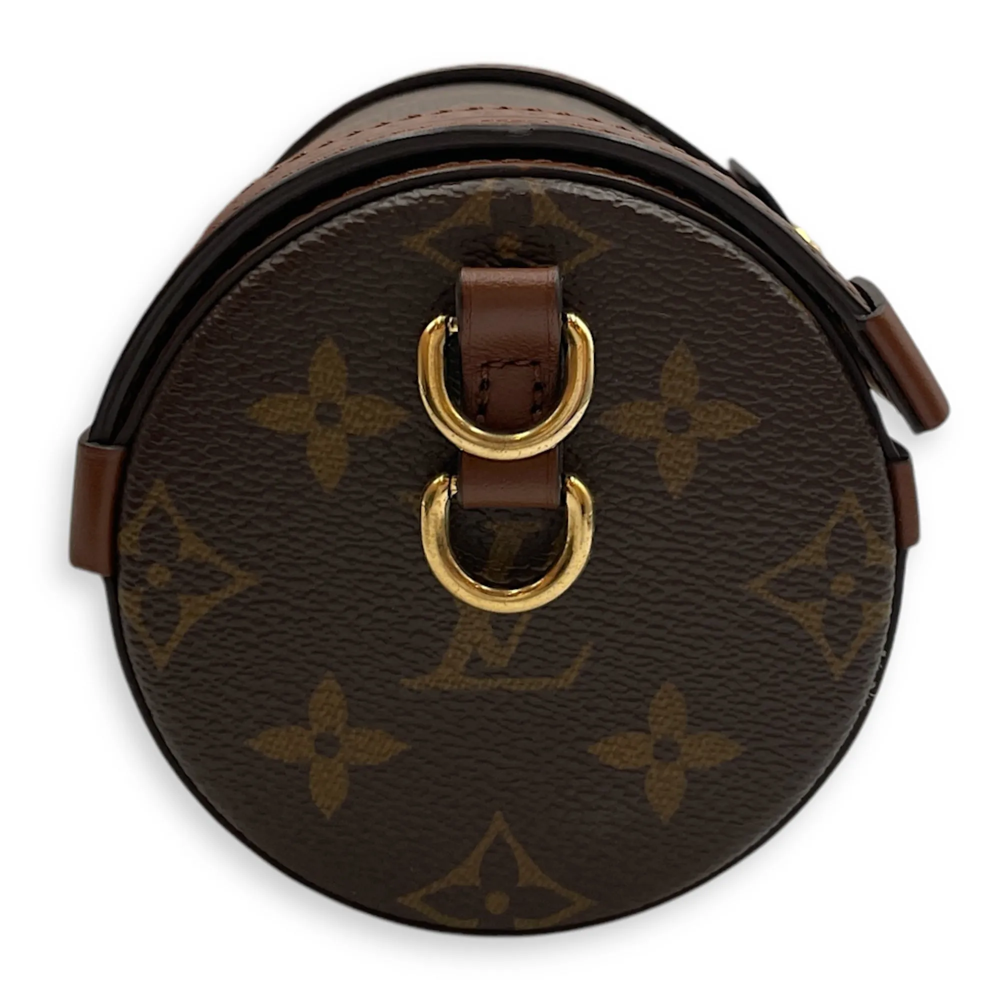 Papillon Trunk Brown Monogram Crossbody Bag in Coated Canvas, Gold hardware
