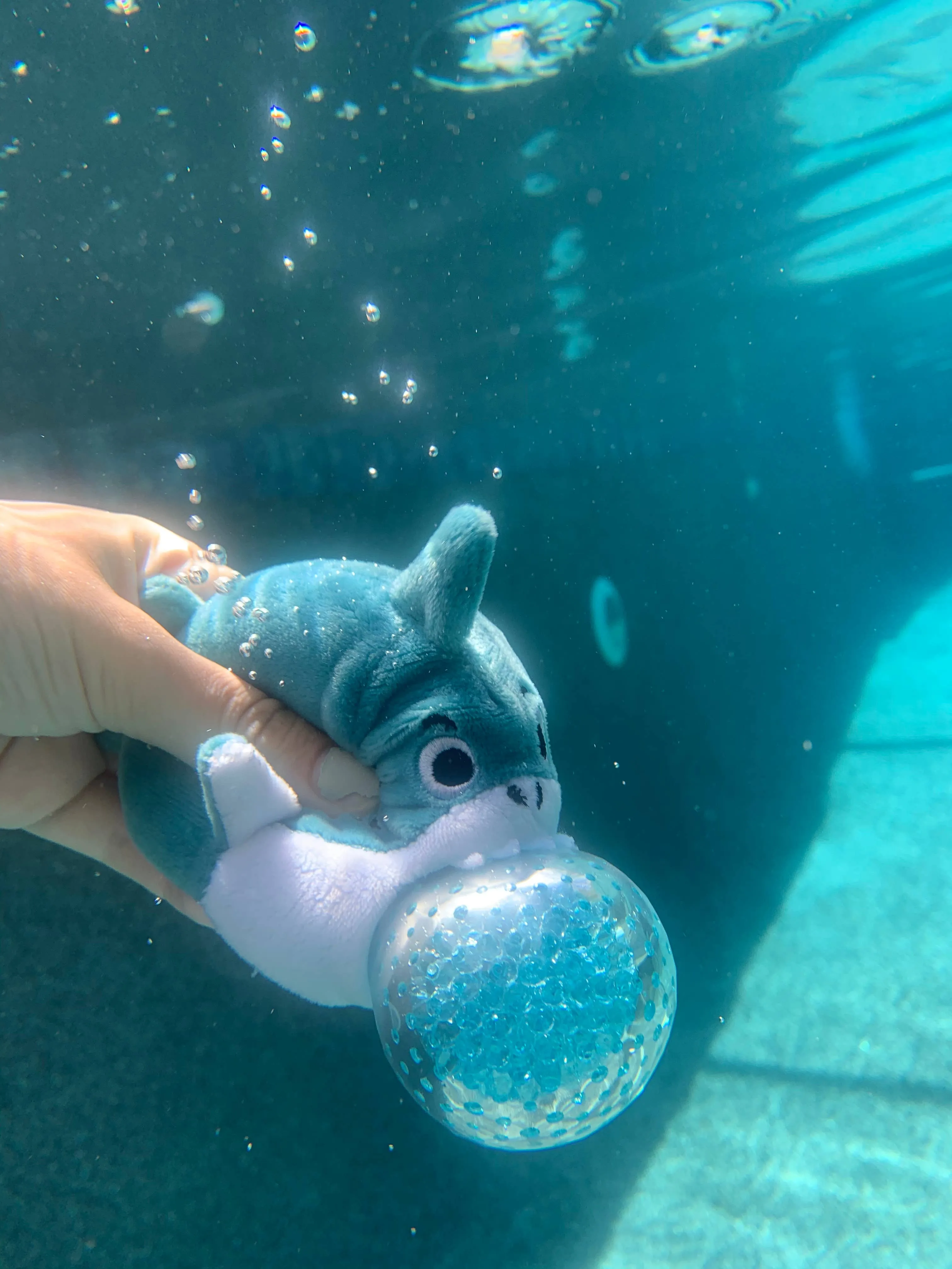 PBJ Aquatic Friends - Assorted