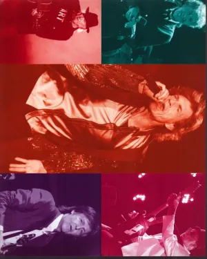 Posterazzi Desert Trip Concert Collage Photo Print (16 x 20) - Item # MVM05556