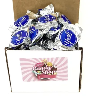 SECRET CANDY SHOP York Peppermint Patties Dark Chocolate Mint Candy Candy in Box, 1Lb (Individually Wrapped)…
