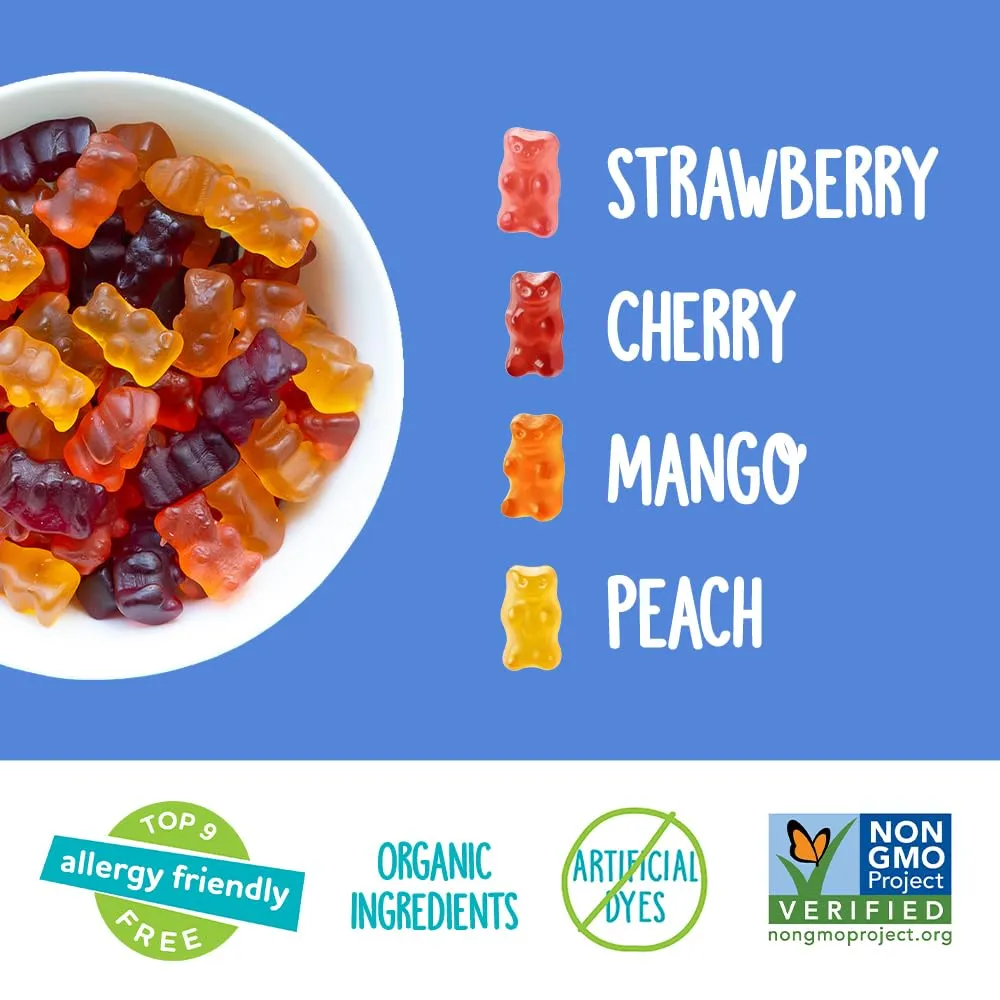 YumEarth Organic Gummy Bears - Fruity Gummy Candy Snack Packs, Gluten Free Snacks for Kids - Allergy Friendly, Non-GMO, No Artificial Flavors or Dyes - Assorted Flavors, 0.7 oz. (Pack of 35)